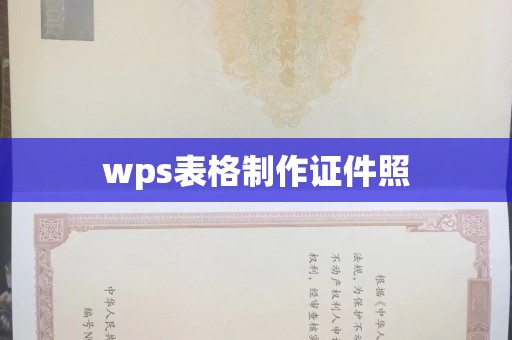 长治wps表格制作证件照